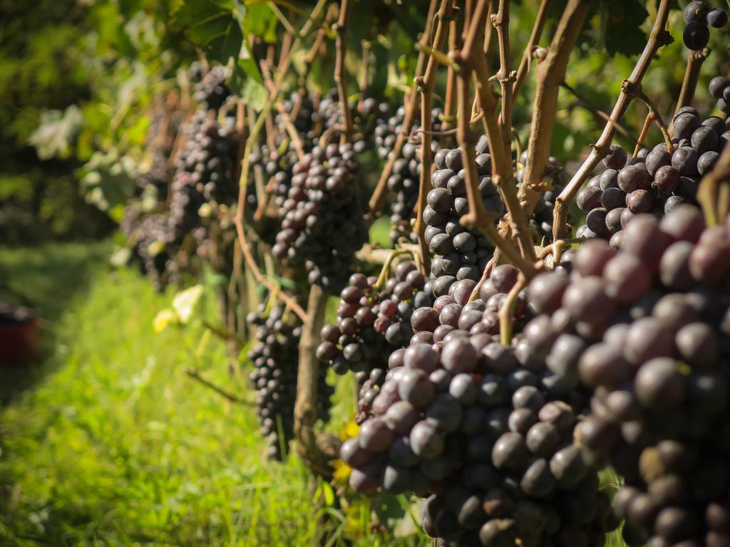 Il Molinaccio Di Montepulciano Exterior foto